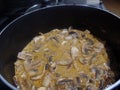 Creamy mushroom paprika sauce