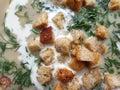 Creamy mushroom soup puree with croutons and dill Royalty Free Stock Photo