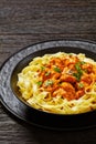 Creamy Paprika Pork Chunks over tagliatelle noodle Royalty Free Stock Photo