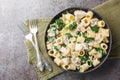 Creamy pasta with chicken meat, fried mushrooms, garlic, cheese and spinach close-up in a plate on the table. Horizontal top view Royalty Free Stock Photo