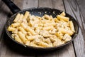 Creamy pasta with chicken and mozzarella cheese in pan