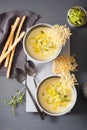 Creamy potato and leek soup in bowl Royalty Free Stock Photo