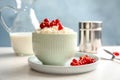 Creamy rice pudding with red currant in bowl Royalty Free Stock Photo