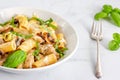 Creamy Rigatoni Pasta with Chicken and Mushroom on White Background. Royalty Free Stock Photo