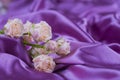 Creamy roses bouquet on purple satin fabric folds Royalty Free Stock Photo