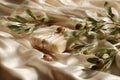Luxurious Olive Soap Gift Royalty Free Stock Photo