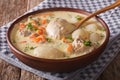 Creamy soup with chicken and vegetables close up in a bowl. horizontal Royalty Free Stock Photo