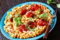 Creamy tomato risotto with pesto, top view Royalty Free Stock Photo