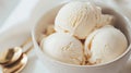 Creamy Vanilla Ice Cream with Bourbon Flavor Royalty Free Stock Photo
