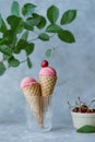 Creamy vegan cherries ice cream. Summer seasonal cold sweet healthy vegan dessert Royalty Free Stock Photo