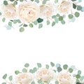 Creamy white roses and silver dollar eucalyptus branches vector Royalty Free Stock Photo