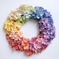 Create An Abstract Crayon Of A Rainbow Hydrangea Wreath