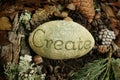 Create etched on a stone on the forest floor Royalty Free Stock Photo