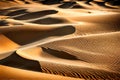 An image capturing the mesmerizing pattern of sand twirling on desert sand dunes, formed by the wind\'s artistic touch,