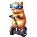 capybara standing on a segway Royalty Free Stock Photo