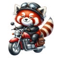 Red panda driving a motorcycle clipart watercolor Royalty Free Stock Photo