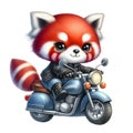 Red panda driving a motorcycle clipart watercolor Royalty Free Stock Photo