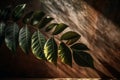 Rich greenery of tropical tree leaves in sunlight on a warm wooden background, AI generated Royalty Free Stock Photo