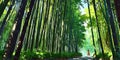 create a stunning highdefinition image of an aesthetic ai generated