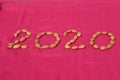 Create 2020 with almonds and flowers on pink background Royalty Free Stock Photo