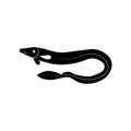 Create Vector Art of a Swimming Eel Royalty Free Stock Photo