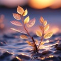 create a visually appealing close up of a tiny plant bathed in the golden light of sunset trending