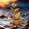 create a visually appealing close up of a tiny plant bathed in the golden light of sunset trending