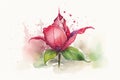 Create a watercolor illustration of a rosebud with a whimsical and magical effect