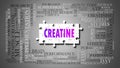 Creatine as a complex subject, related to important topics spreading around as a word cloud