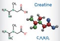 Creatine molecule, food supplements. Structural chemical formula and molecule model