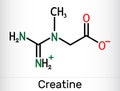 Creatine molecule, food supplements. Structural chemical formula