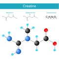 Creatine molecule. molecular chemical structural formula and model