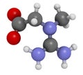 Creatine molecule. Often used in food supplements. Atoms are represented as spheres with conventional color coding: hydrogen (