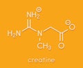 Creatine molecule. Often used in food supplements. Skeletal formula.