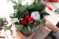 Creating Christmas floral arrangement with carnations, chrysanthemum santini flowers and fir