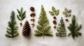 Creating christmas tree shapes using natural forest elements Royalty Free Stock Photo