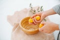 Creating composition, placing fresh ripe apricots in a handmade wooden bowl Royalty Free Stock Photo