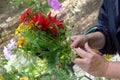 Creating a Dahlia bouquet