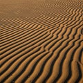 Creating regular rhythmic designs typical of desert landscapes or Royalty Free Stock Photo