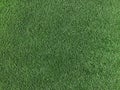 synthetic grass or green lawn for rendering, background