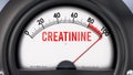 Creatinine that is hitting a full scale, showing a very high level of creatinine, overload of it, too much of Royalty Free Stock Photo