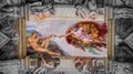 Creation of Adam work on the ceiling of in Sistine chapel in Vatican, Vatican Royalty Free Stock Photo