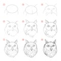 Creation step by step pencil drawing. Page shows how learn to draw sketch of imaginary owls head.