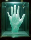 The creation of a white plastic hand model by a 3D printer demonstrates the capabilities of modern 3D printing Royalty Free Stock Photo