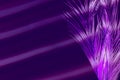 Creative abstract background neon purple palm leaf Royalty Free Stock Photo