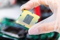 CPU processor in hand Royalty Free Stock Photo