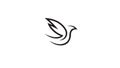Creative Abstract Dove Pigeon Bird Lines Logo Vector Design Symbol Icon Royalty Free Stock Photo