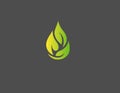 Creative abstract logo icon leaves of a plant and a drop of water for eco company Royalty Free Stock Photo