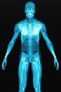 X-ray scan of the human body