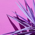 Creative Aloe against a violet wall background with sunlight shadows. Stylish minimalist design wallpapers. Very peri trends